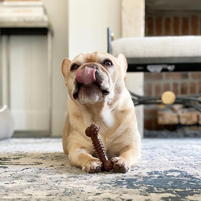 Nylabone Power Chew Groove Bone - Dog Toys for Aggressive Chewers - Durable Dog Toy for Small Breeds - Small Dog Chew Toys - Flavor Medley, Small, Up to 25 Ibs. (1 Count)