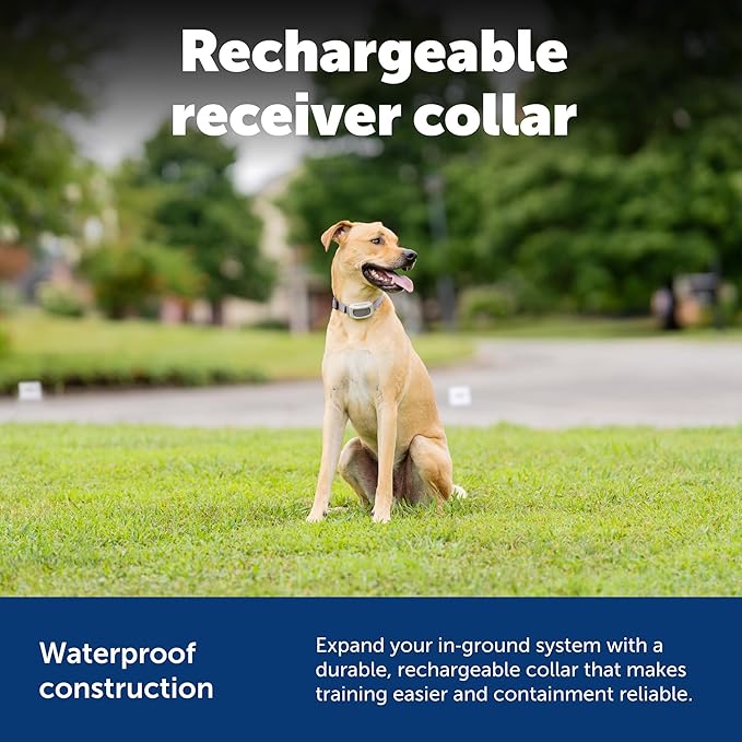 PetSafe Classic In-Ground Fence Rechargeable Receiver Collar for Dogs and Cats - from The Parent Company of Invisible Fence Brand - 7 Levels of Adjustable Static Correction - for Pets 5 lb and Up