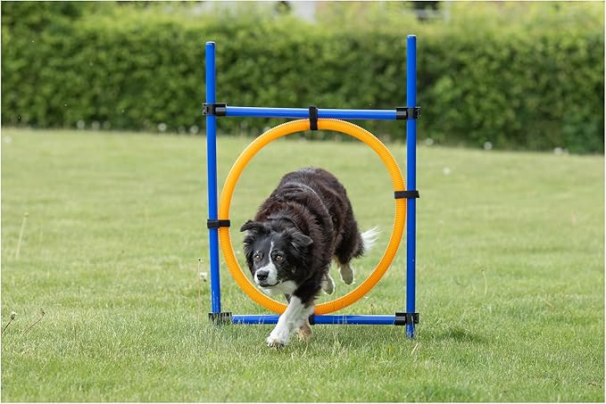 TRIXIE Dog Agility Ring, Portable Dog Hoop, Obstacle Course Equipment, Obedience Training