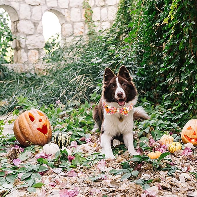 Fall Dog Collar, Pink Flower Pumpkin Print Adjustable Pet Collar Cute Cotton Soft Collars with Bow Tie Metal Buckle Holiday Puppy Collars Boy&Girl Gift for Small Dogs