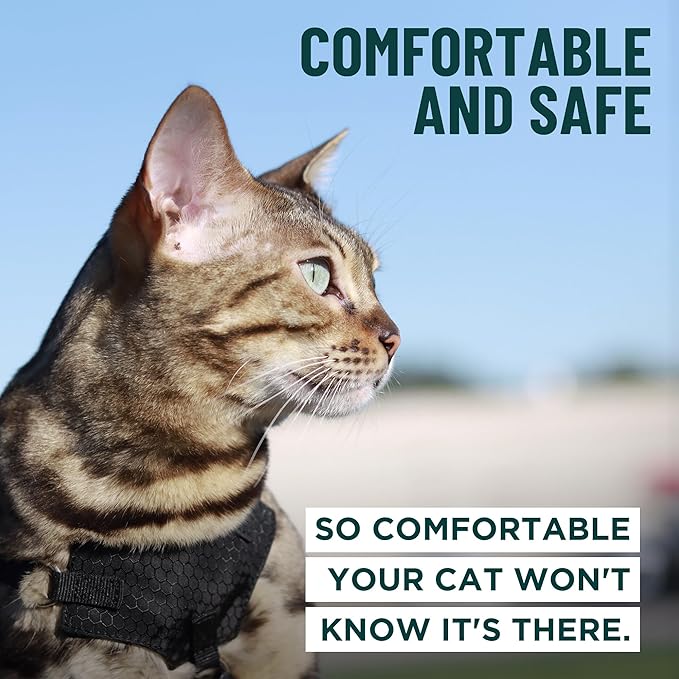 Houdini™ Escape Proof Kitten Harness and Leash Set by OutdoorBengal – Extra Small – Comfy, Adjustable and Lightweight - Houdini Cat Harness Escape Proof for Small Cats + Cat Leash 6ft (Pink, XS)