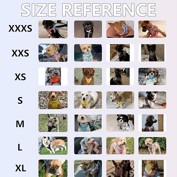 AIITLE No Pull Dog Harness and Leash Set, Step in Adjustable Dog Harness with Padded Vest for All Weather, Dog Leash with Soft Padded Handle, Easy to Put on Small and Medium Dogs Purple S