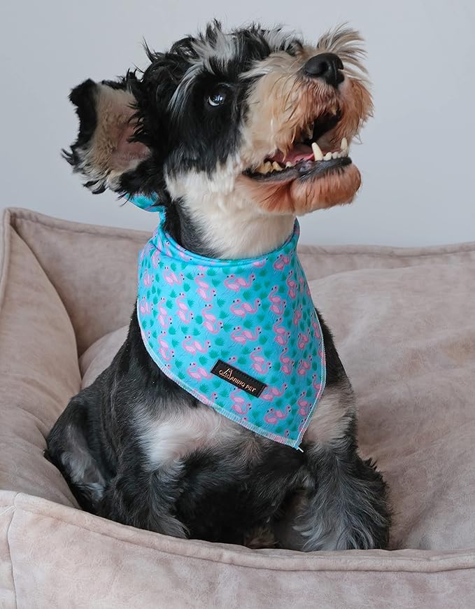 ARING PET Summer Dog Bandanas, Turquoise Flamingo Kerchief Triangle Bibs Scarf for Puppy Small Medium Large Boy Girl Dogs Cats-S