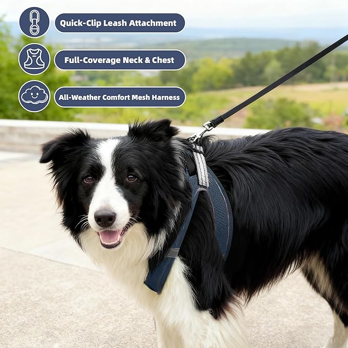 ROYPET Step-in Air Dog Harness, All Weather Mesh Step in Vest Harness for Small and Medidum Dogs and Cats, Adjustable Soft Padded Dog Vest with Easy Control Handle for Dogs Pets (Navy Blue, XXS)