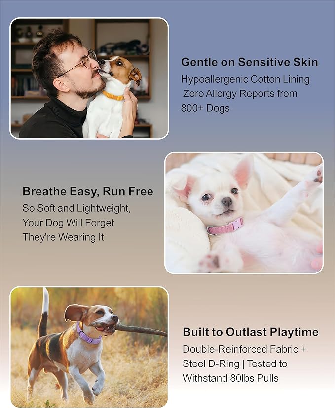 Dynmeow Soft and Breathable Cotton Dog Collar, Durable Adjustable Pet Collar with Quick-Release Buckle, Lightweight for Sensitive Skin for Puppies and Extra-Small Dogs, Navy-Blue, Xs