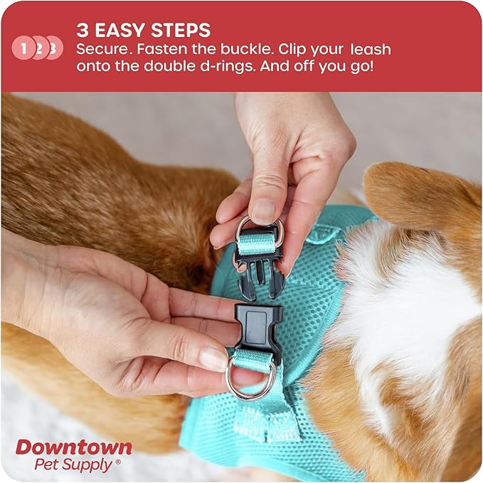 Downtown Pet Supply Step-in Dog Harness – No Pull, Adjustable Padded Mesh with Reflective Trim, Secure Buckle Strap – Comfortable & Breathable Small Dog Harness, Large, Light Blue