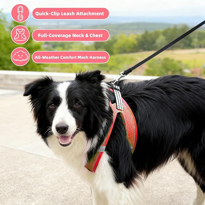 ROYPET Step-in Air Dog Harness, All Weather Mesh Step in Vest Harness for Small and Medidum Dogs and Cats, Adjustable Soft Padded Dog Vest with Easy Control Handle for Dogs Pets (Vermilion, XXS)