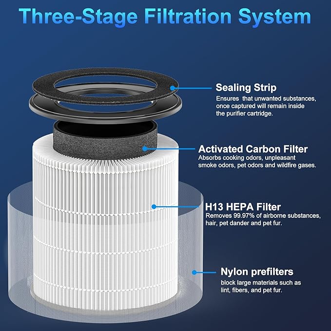 Tailulu 2 Pack D10 Replacement Filter, Air Purifier Filter for Tailulu D10 Air Purifier, 3-in-1 H13 Grade True Replacement Filte with Extra 6 Pieces Aroma Pads