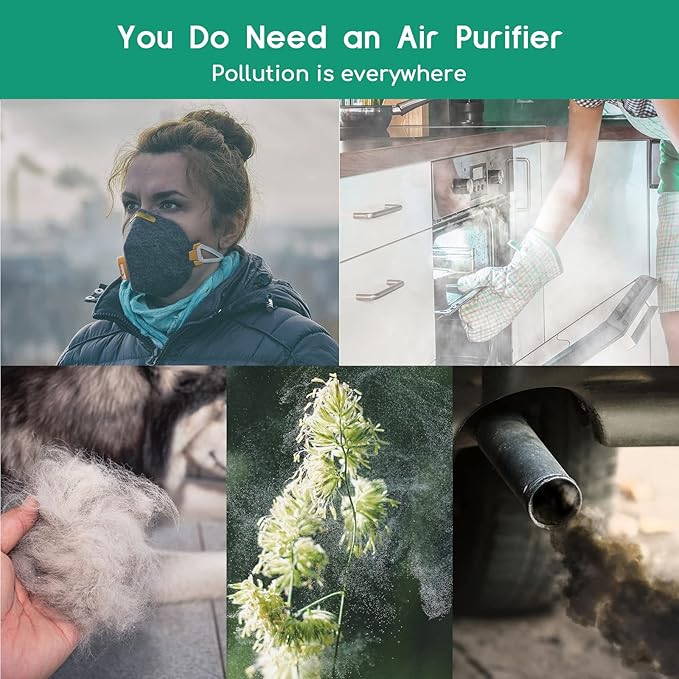 Air Purifier For Home| Efficient Filter 24dB Quiet 220 ft² 3-Stage Filtration Air Purifies Whisper | Air Cleaner Remove 99.99% Pet Odors Dust Pollen Smoke Household Mold | Optional Night Light(Gray)