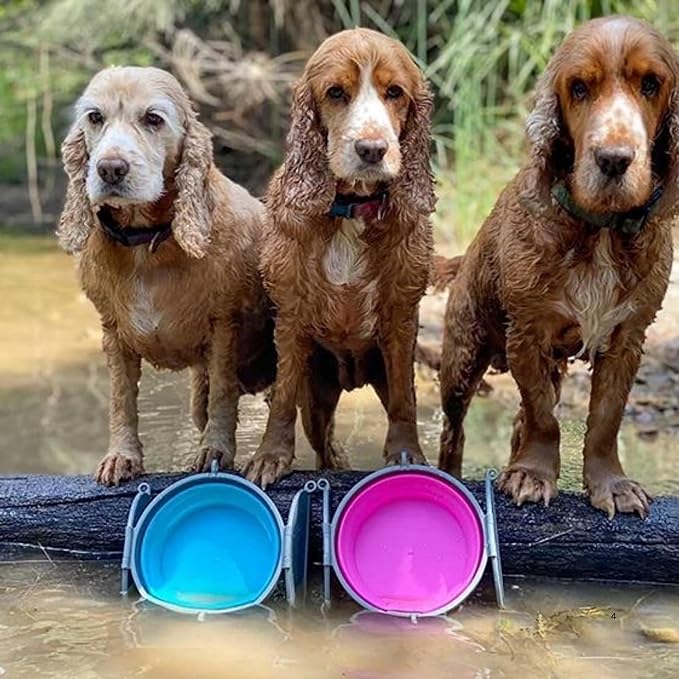 Loving Pets Bella Roma Collapsible Dog Bowls - Silicone Dog Bowls, Foldable Bowl, Puppy Essentials & Hiking Pet Supplies Great for Home & Travel (Pink, Large)
