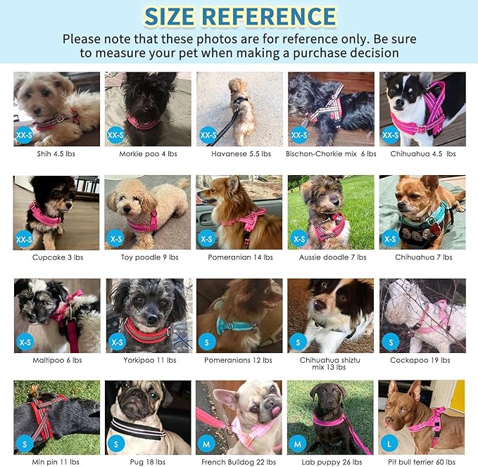 SlowTon No Pull Small Dog Harness and Leash Set, Puppy Soft Vest Harness Neck & Chest Adjustable, Reflective Lightweight Harness & Anti-Twist Pet Lead Combo for Small Medium Dogs(B,L)