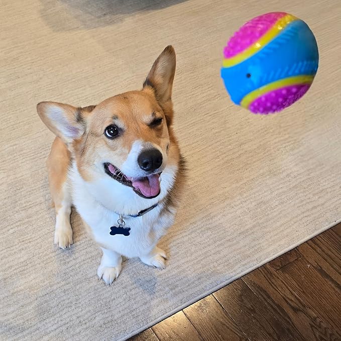 SPOT Sensory Ball Dog Toy for Soft Chewers – 3.25-Inch Durable TPR Rubber Ball with Squeaker and Bell, Textured for Gentle Chewing, High-Contrast Colors for Indoor & Outdoor Fetch Play