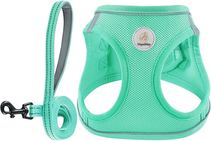Hipubby Dog Harness and Leash Set, No Pull Soft Mesh Puppy Harness for Small Medium Dogs, Cats - Step in Reflective Breathable Lightweight Vest Harness for Walking, Training - Green, M