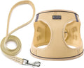 Dog Harness with Leash Set, No Pull Adjustable Reflective Step-in Puppy Pet Vest Harnesses for Small Medium Large Dogs and Cats,Beige XL