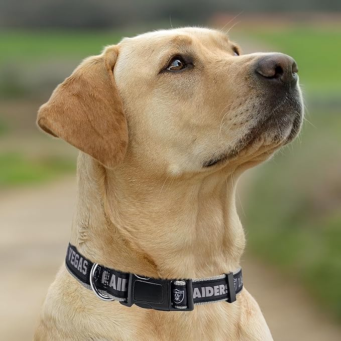 Pets First NFL Raiders Licensed PET COLLAR, Medium - Heavy-Duty, Strong, and Durable Dog Collar. Available in 31 Football Teams and 4 Sizes