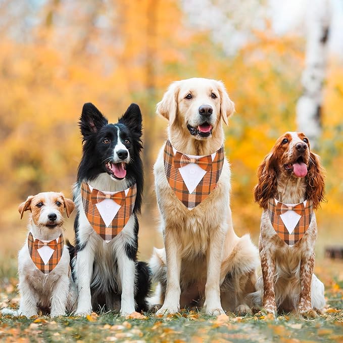 ADOGGYGO Fall Dog Tuxedo Bandana, Orange Plaid Pet Tux Collar with Bowtie, Adjustable Halloween Thanksgiving Formal Costume for Small Dogs Pets (S)