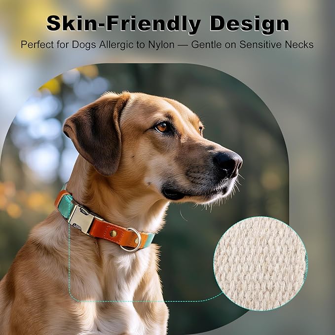 Plutus Pet Genuine Leather & Hemp Dog Collar – Adjustable Heavy Duty Pet Collar with Quick Release Metal Buckle, Soft & Stylish for Puppy and Small, Medium, Large Dogs (Green, S)