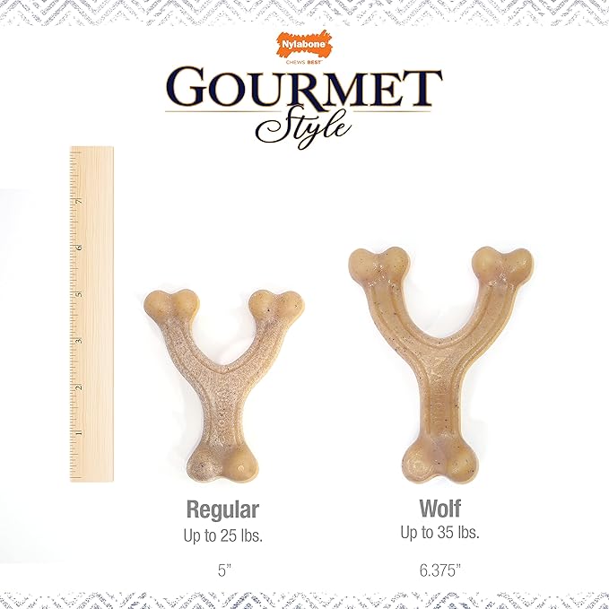 Nylabone Gourmet Style Wishbone Strong Chew Toy for Dogs, Chicken Flavor, Large - Up to 50 lbs, 1 Count