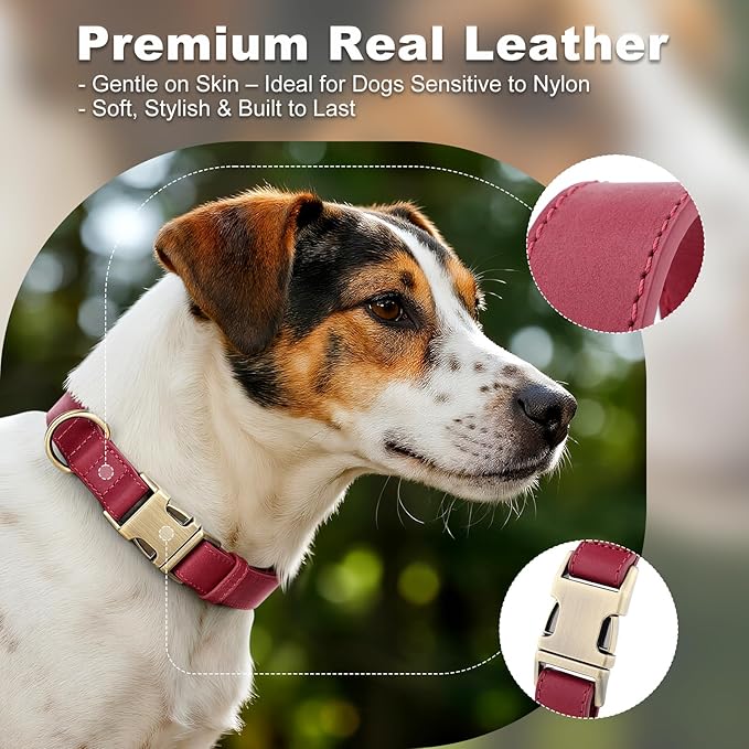 Plutus Pet Genuine Leather Dog Collar – Adjustable Pet Collar with Quick Release Metal Buckle, Soft Real Leather for Small Medium Large Dogs, Heavy Duty & Skin-Friendly (Burgundy, L)