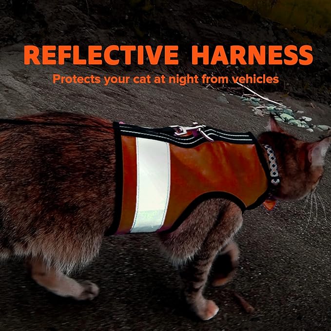 Kitty Holster Reflective Cat Harness – High-Visibility Cat Harness for Travel, Day and Night Walking - Soft Cotton Cat Accessories, Breathable, Secure & Washable, Made in USA - Outrageous Orange, XL