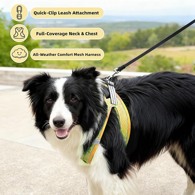 ROYPET Step-in Air Dog Harness, All Weather Mesh Step in Vest Harness for Small and Medidum Dogs and Cats, Adjustable Soft Padded Dog Vest with Easy Control Handle for Dogs Pets (Yellow, S)