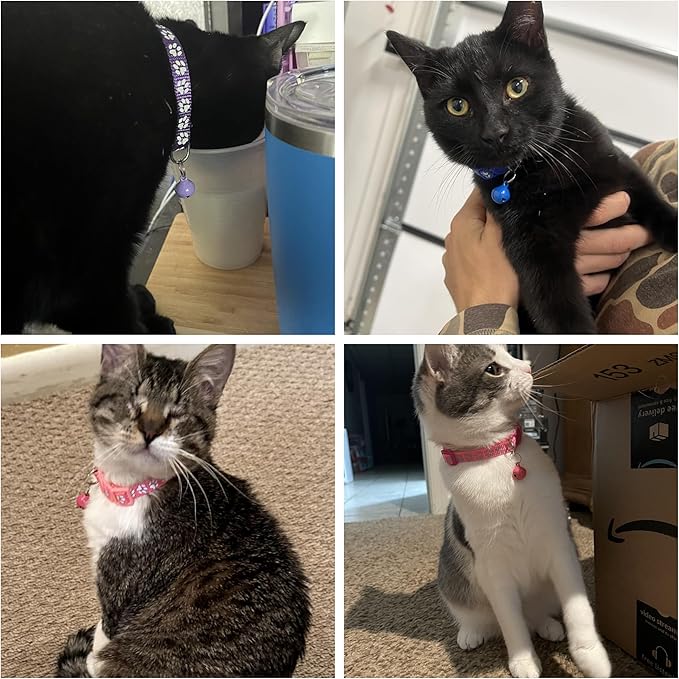 Purple Reflective Cat Collar with Bells, [2 Pack] Break Away Kitten Collar with Bells, Breakaway Cat Collar for Boy Cats Kitty