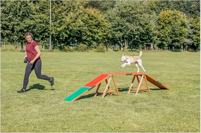 Trixie Dog Agility Walk and Ramps – Dog Obstacle Training Equipment Training Equipment for Indoor and Outdoor Use – 179.5 × 11.8 × 25.2 in