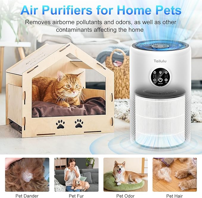 Tailulu 2 Pack D10 Replacement Filter, Air Purifier Filter for Tailulu D10 Air Purifier, 3-in-1 H13 Grade True Replacement Filte with Extra 6 Pieces Aroma Pads