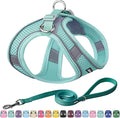 AIITLE No Pull Dog Harness and Leash Set, Step in Adjustable Dog Harness with Padded Vest for All Weather, Dog Leash with Soft Padded Handle, Easy to Put on Small and Medium Dogs Pure Turquoise S
