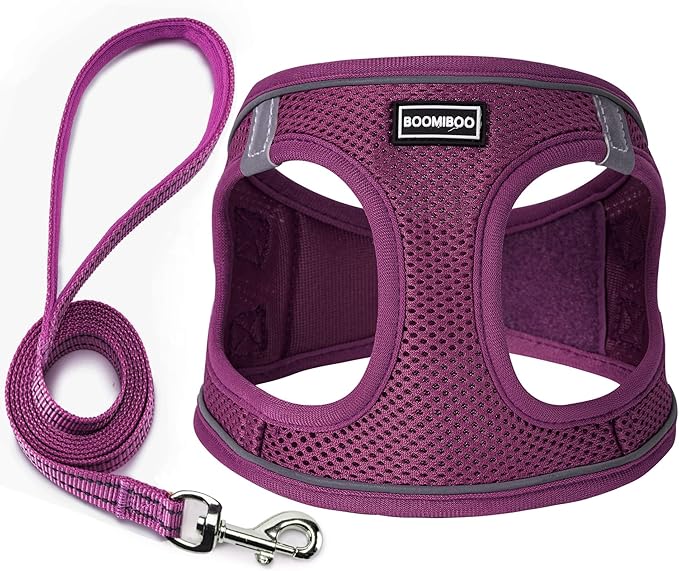 Dog Harness with Leash Set, No Pull Adjustable Reflective Step-in Puppy Pet Vest Harnesses for Small Medium Large Dogs and Cats,Cranberry S