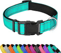 Reflective Dog Collar, Adjustable Soft Neoprene Padded Nylon Pet Collars with Buckle for Puppy and Small Dogs, Cats, Teal,XS