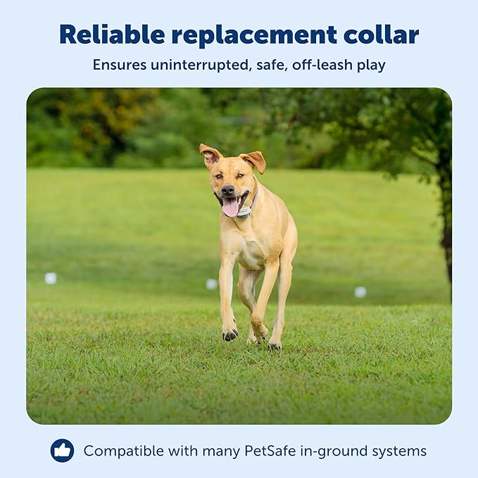 PetSafe Classic In-Ground Fence Rechargeable Receiver Collar for Dogs and Cats - from The Parent Company of Invisible Fence Brand - 7 Levels of Adjustable Static Correction - for Pets 5 lb and Up
