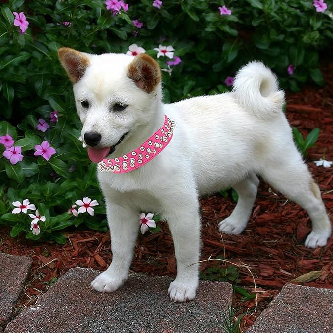 TEEMERRYCA Adjustable PU Leather Spiked Studded Dog Collars with a Squeak Ball Gift for Small Medium Large Pets Like Cats/Pit Bull/Bulldog/Pugs/Husky, Hot Pink, L 15"-18.5"