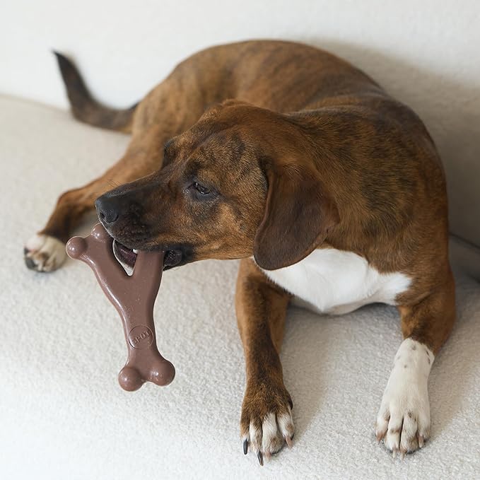 SPOT Bam-Bones Wishbone - Made with Strong Bamboo Fiber, Durable Long Lasting Dog Chew for Light to Moderate Chewers, Great Toy for Adult Dogs & Teething Puppies Under 50lbs, 7in, Bacon Flavor