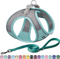 AIITLE Easy Walk Dog Harness and Leash Set - Pet Supply No Pull, Step in Adjustable Pet Harnesses with Padded Vest for Summer, No Choke Over, Easy to Put on Medium Dogs Turquoise L