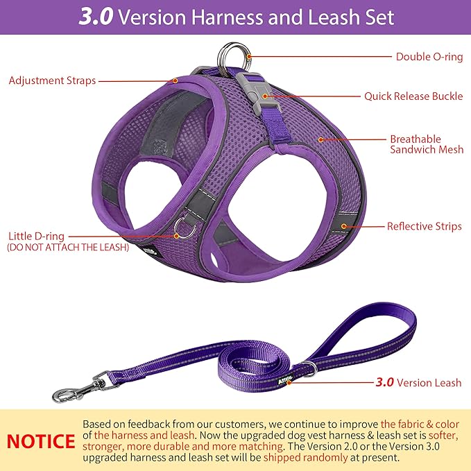 AIITLE Small Harness for Puppy with A Leash - Dog Vest Harness with Super Breathable Mesh, Reflective No-Pull Pet Harness for Outdoor Walking, Running for Small Dogs, Cats Pure Purple XXS