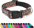 Reflective Dog Collar, Adjustable Soft Neoprene Padded Nylon Pet Collars with Buckle for Puppy and Small Dogs, Cats, Retro Geometric Flowers,S