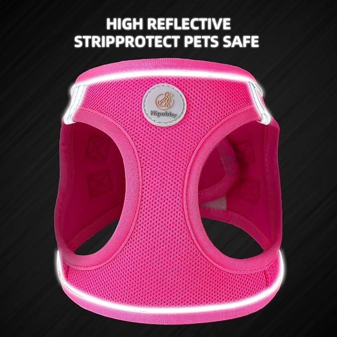 Hipubby Dog Harness and Leash Set, No Pull Soft Mesh Puppy Harness for Small Medium Dogs, Cats - Step in Reflective Breathable Lightweight Vest Harness for Walking, Training - Rose Red, XS