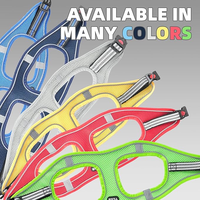ROYPET Step-in Air Dog Harness, All Weather Mesh Step in Vest Harness for Small and Medidum Dogs and Cats, Adjustable Soft Padded Dog Vest with Easy Control Handle for Dogs Pets (Green, XXL)