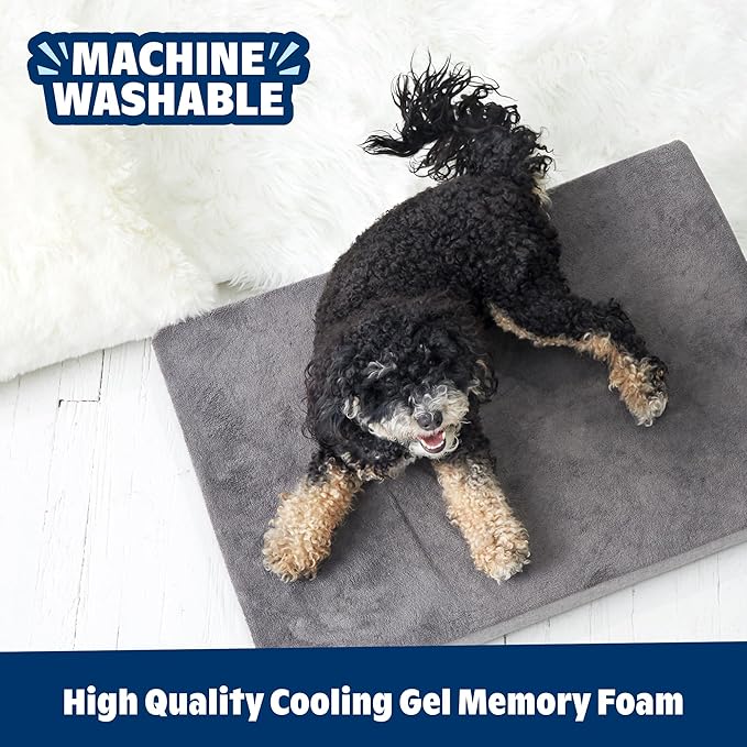Barkbox Orthopedic Dog Bed with Memory Foam, Premium Comfort for Dogs and Puppies, Dog Bed for Joint Relief and Restful Sleep, Durable and Easy to Clean - Grey, Small