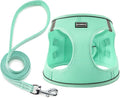 Dog Harness with Leash Set, No Pull Adjustable Reflective Step-in Puppy Pet Vest Harnesses for Small Medium Large Dogs and Cats,Green M