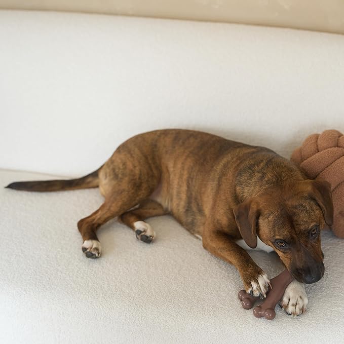 SPOT Bam-Bones Wishbone - Made with Strong Bamboo Fiber, Durable Long Lasting Dog Chew for Light to Moderate Chewers, Great Toy for Adult Dogs & Teething Puppies Under 50lbs, 7in, Bacon Flavor