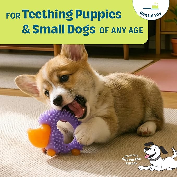 Outward Hound Pupstages Cutie Chewies Hedgehog Dental Dog Chew Toy — Multi-Textured, Massages Gums, Floats & Bounces for Teething Puppies & Small Dogs, 5" x 3.5" x 1"