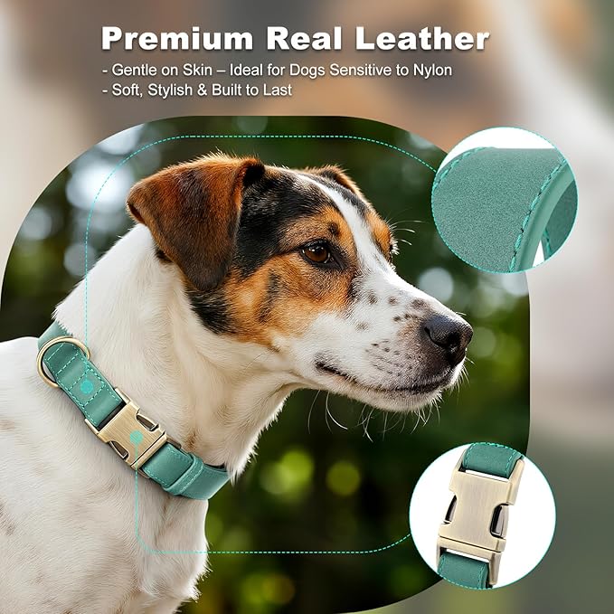 Plutus Pet Genuine Leather Dog Collar – Adjustable Pet Collar with Quick Release Metal Buckle, Soft Real Leather for Small Medium Large Dogs, Heavy Duty & Skin-Friendly (Green, XS)