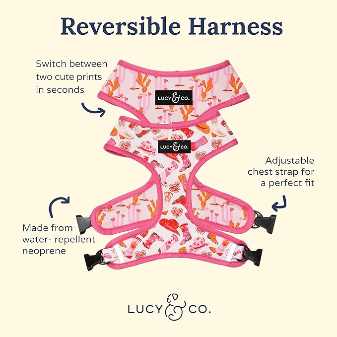 Lucy & Co. Little Lamb Dog Collar - Durable Lightweight Designer Collar for Pets - Adjustable Metal Safety Buckle - Yellow Floral - Medium
