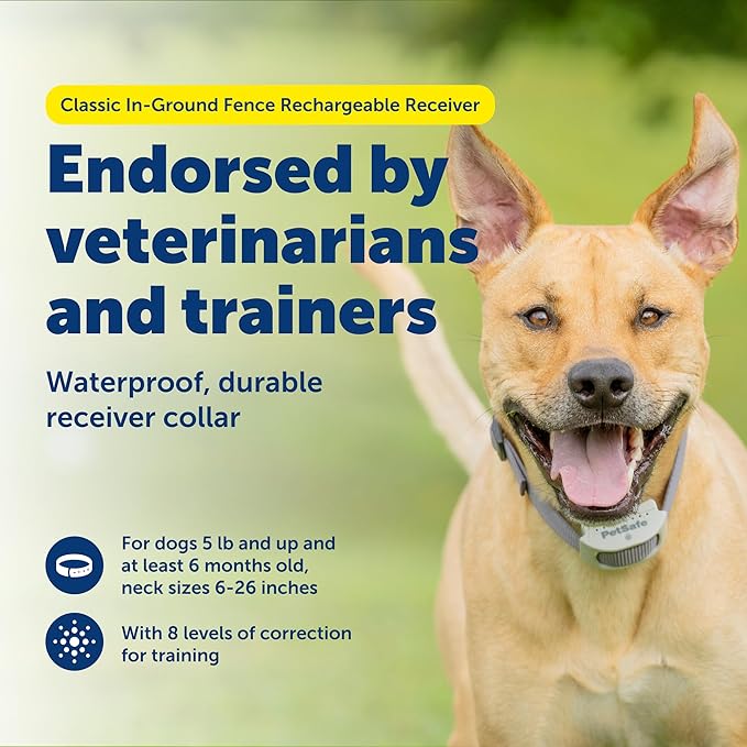 PetSafe Classic In-Ground Fence Rechargeable Receiver Collar for Dogs and Cats - from The Parent Company of Invisible Fence Brand - 7 Levels of Adjustable Static Correction - for Pets 5 lb and Up