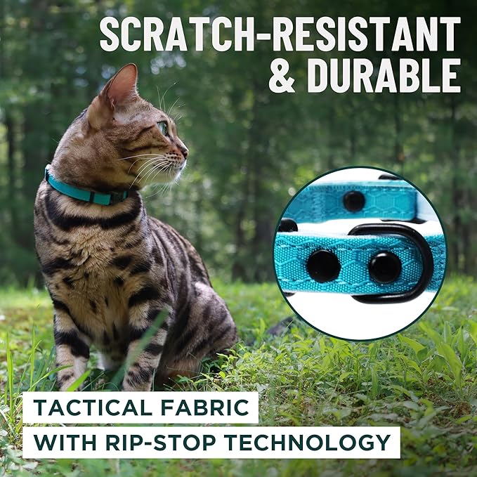 OutdoorBengal Black Breakaway Kitten Collar - Ultra Safe Quick Release Cat Collar for Small Kittens Under 6 Months – Soft-Padded, Lightweight, Adjustable, Thin and Comfortable, No Bell (Black, Kitten)