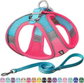 AIITLE Dog Harness, No-Pull Cat Harness with a Leash, Adjustable Reflective Dog Vest, Cat Harness Escape Proof, Outdoor Walking, Running,Training for Extra Small Dogs and House Cats Hot Pink XXXS