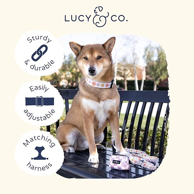 Lucy & Co. Among The Wildflowers Dog Collar - Durable Lightweight Designer Collar for Pets - Adjustable Metal Safety Buckle - Purple Floral - Large