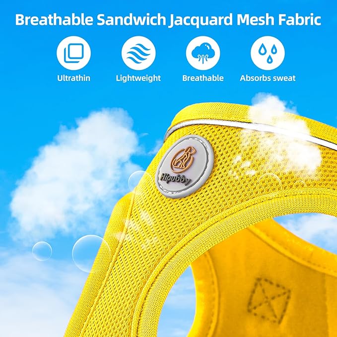 Hipubby Dog Harness and Leash Set, No Pull Soft Mesh Puppy Harness for Small Medium Dogs, Cats - Step in Reflective Breathable Lightweight Vest Harness for Walking, Training - Yellow, XS